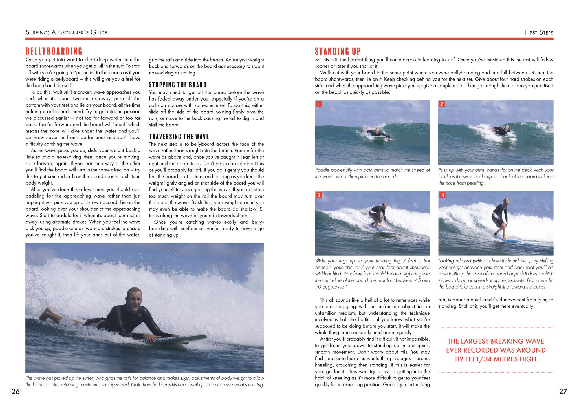 A Beginner's Ode to Surfperch - Flylords Mag